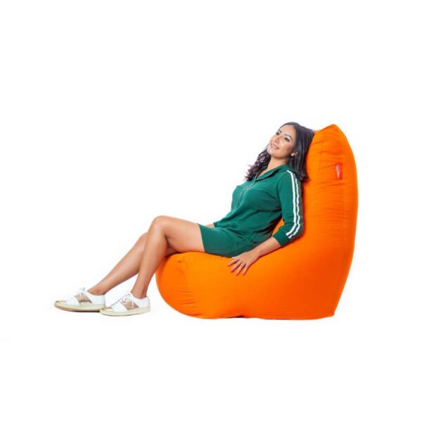 Lounger Leather